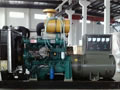 Diesel Generator Sets