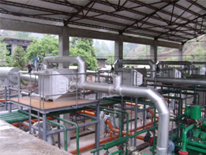 Combined Heat and Power System